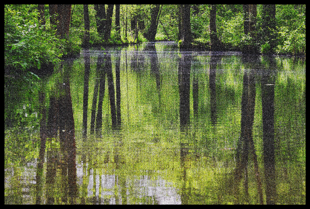 Der Spreewald