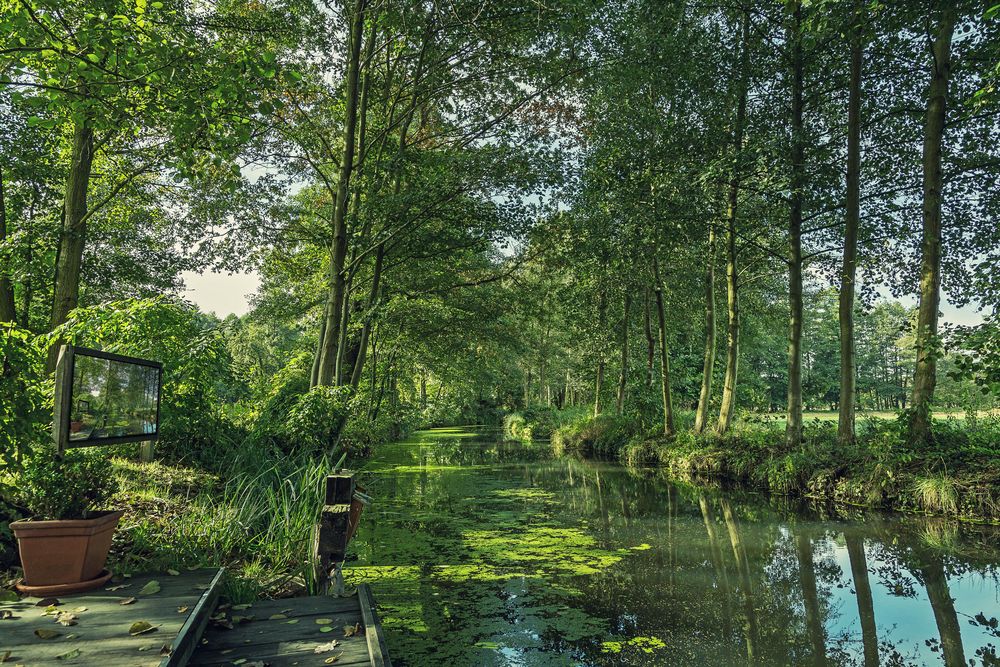 Der Spreewald von curuba11 