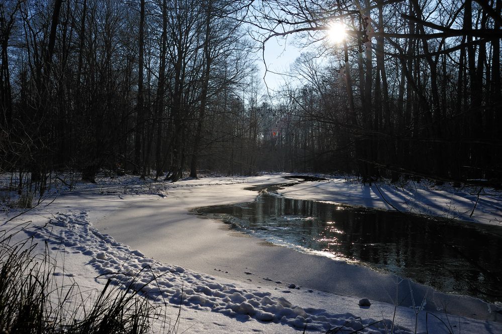 Der Spreewald atmet auf.