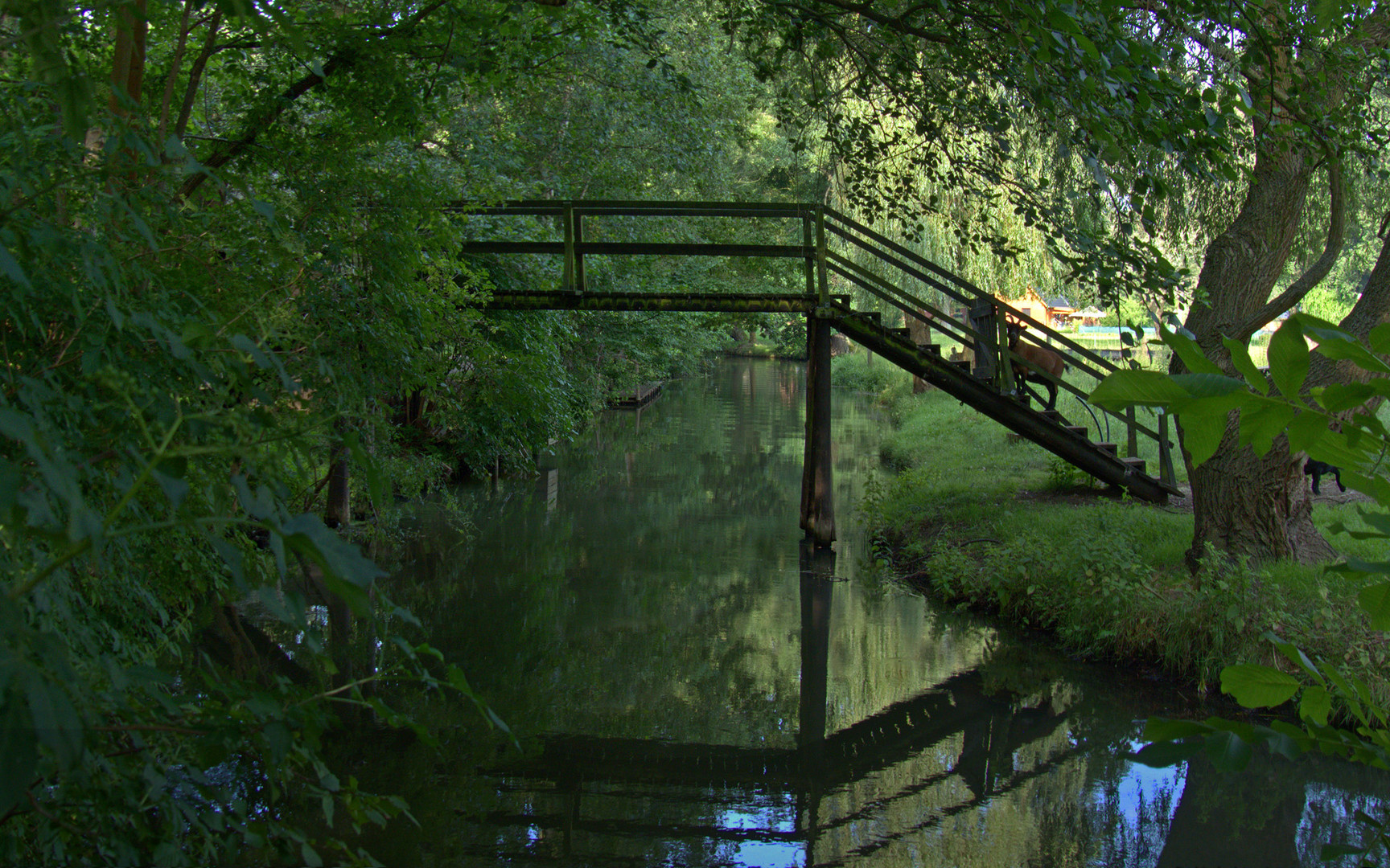 Der Spreewald die grüne Lunge