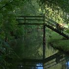 Der Spreewald die grüne Lunge