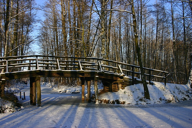 der Spreewald hält Winterschlaf........14