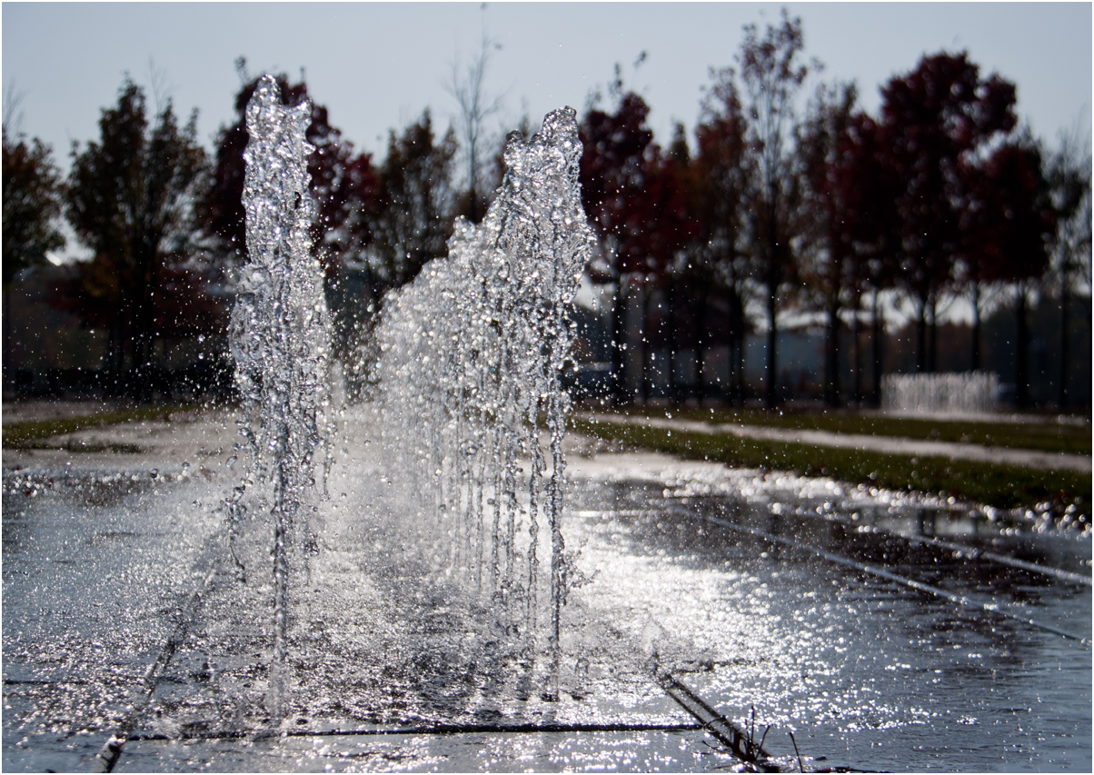 der Springbrunnen