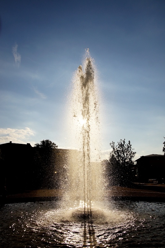 Der Springbrunnen