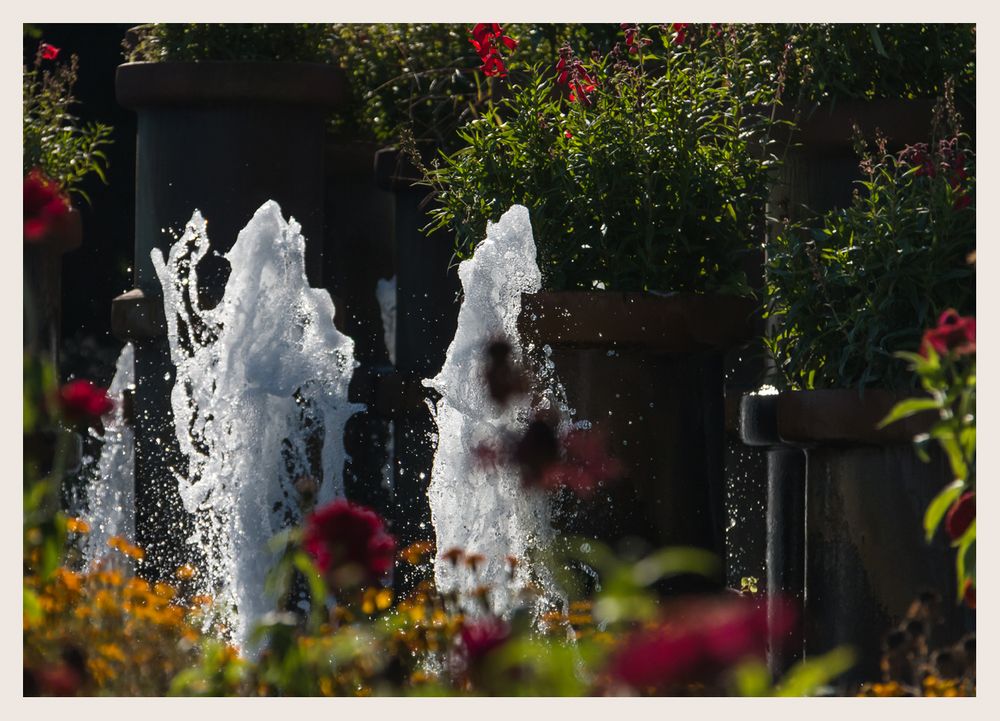 der Springbrunnen