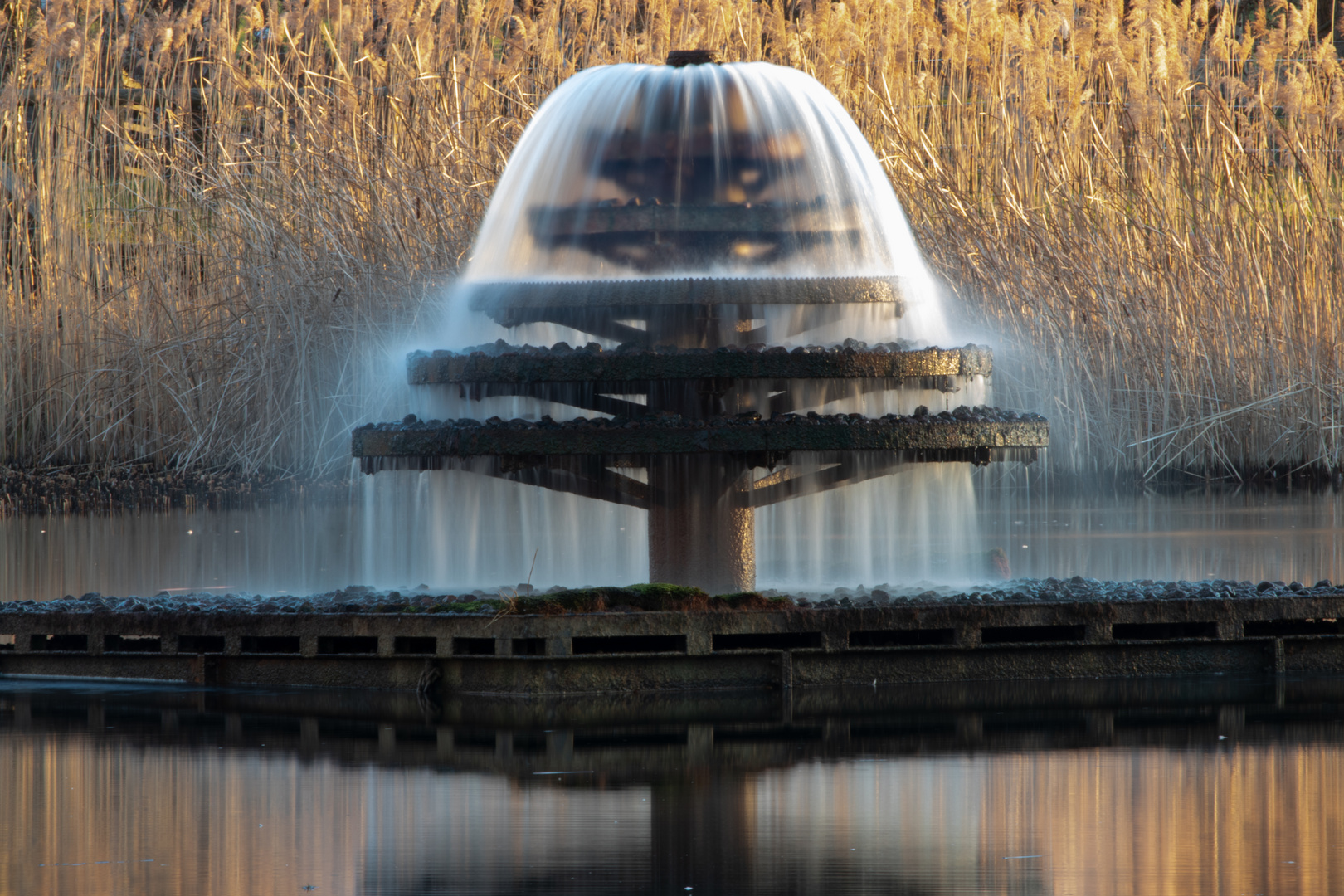 Der Springbrunnen im Britzer Garten Foto & Bild architektur