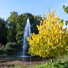 Der Springbrunnen vor Schloß Dyck