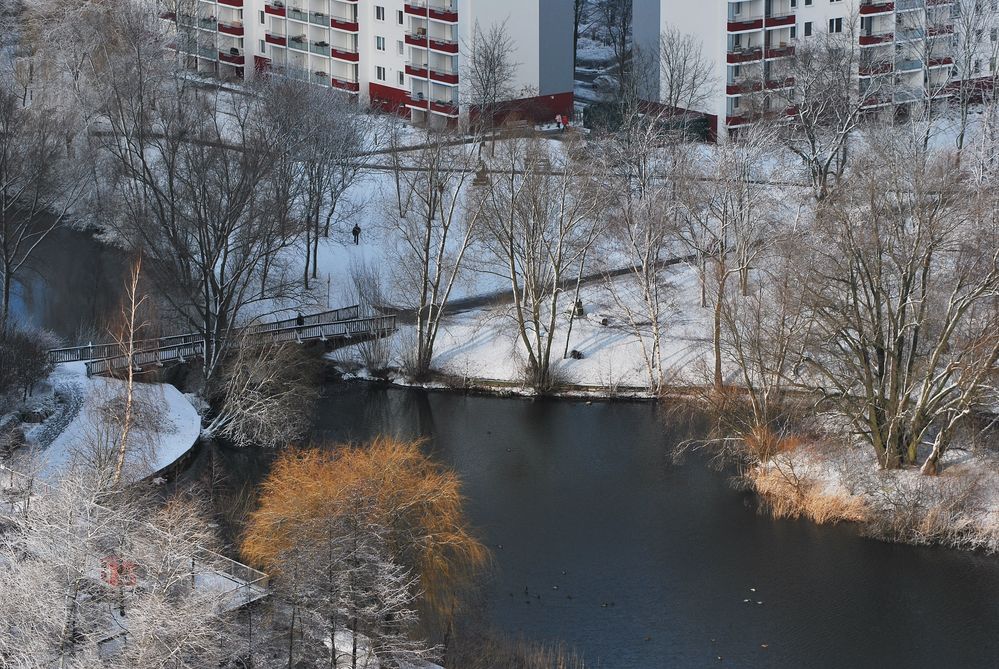 Der Springpfuhl in der Wintersonne