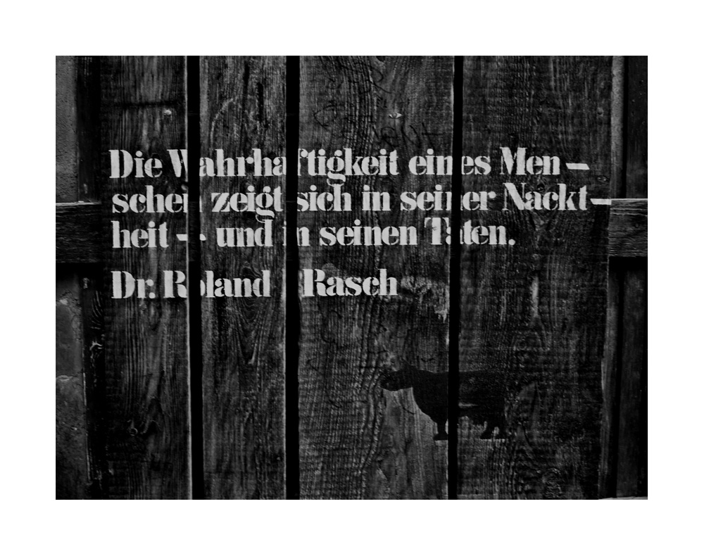 Der Spruch ....