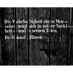 Der Spruch ....