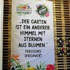 Der Spruch