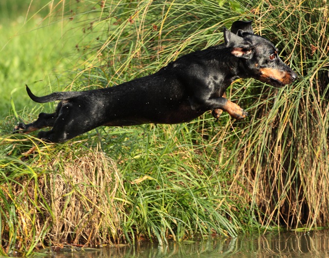 Der Sprung ins kalte Wasser