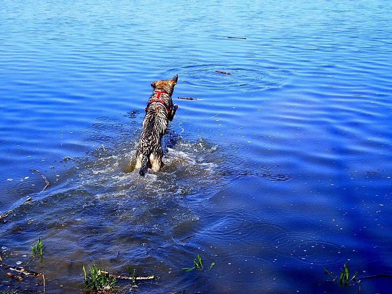 der Sprung ins kalte Wasser