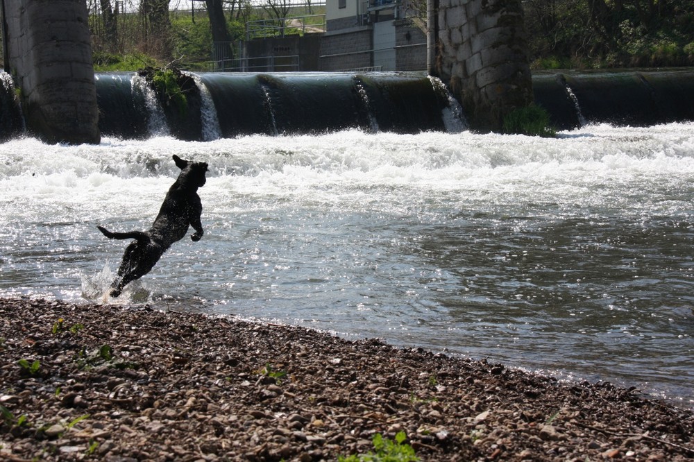 Der Sprung in's kalte Wasser.