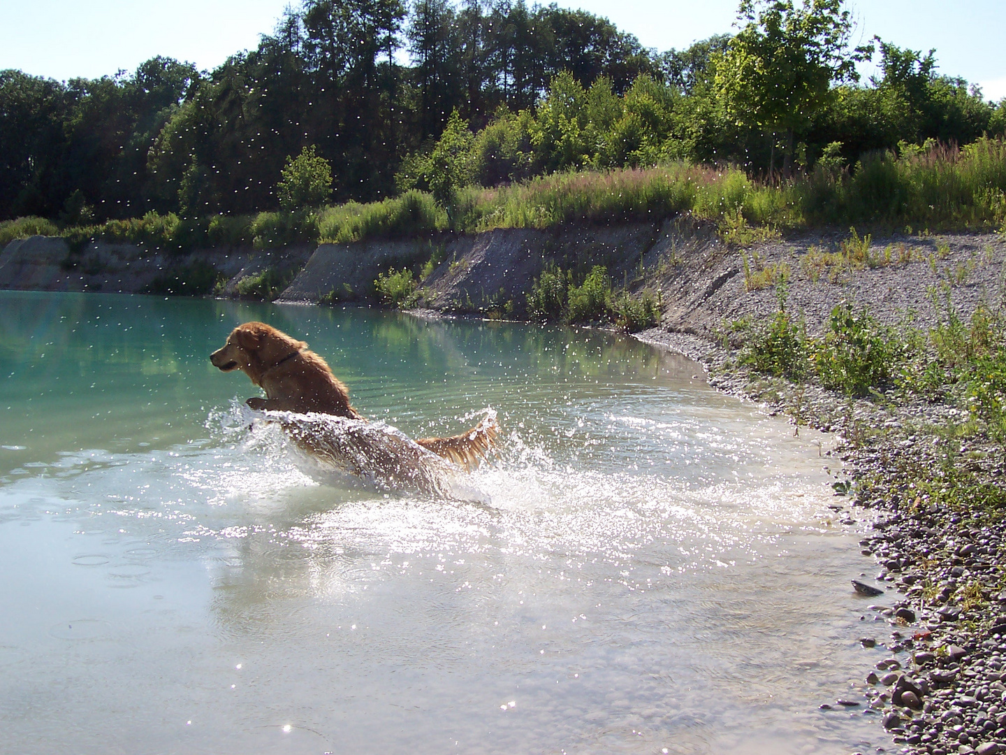 Der Sprung ins kalte Wasser