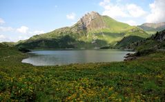 Der Spullersee am Morgen