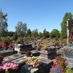 Der St. Johannisfriedhof  1..