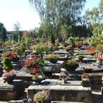 Der St. Johannisfriedhof  2...