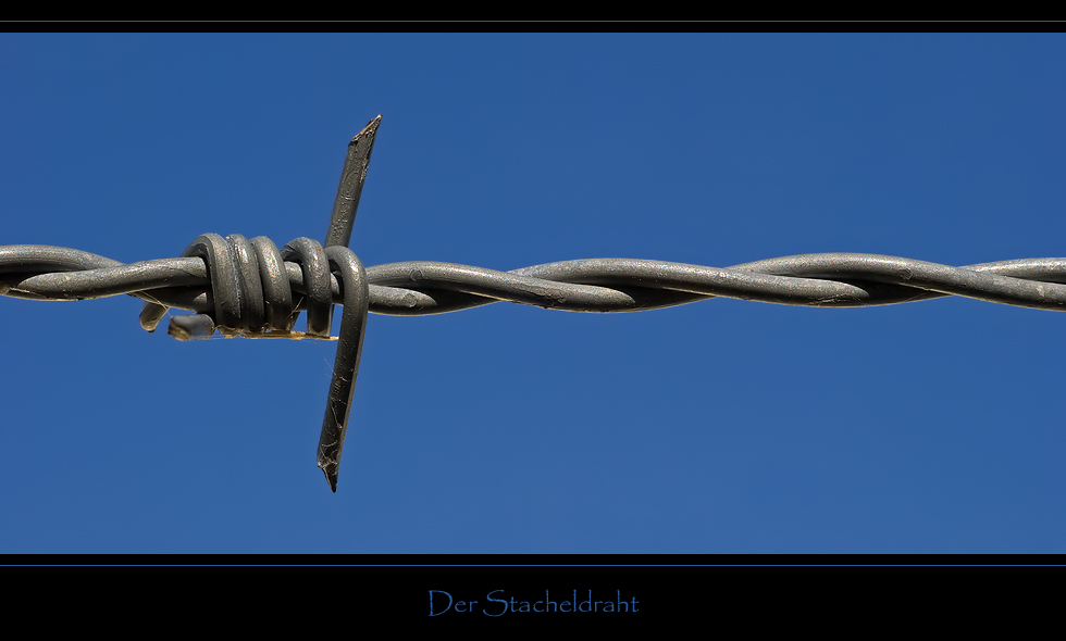 Der Stacheldraht