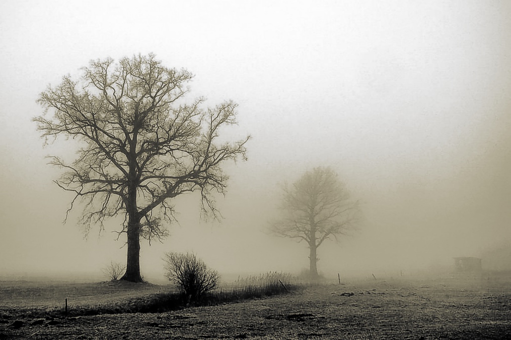 der Stadl im Nebel