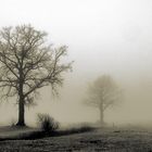 der Stadl im Nebel