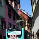 Der Stadtbus Lindau in der Ludwigstraße