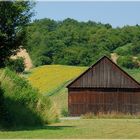 Der Stadthitze entflohen (2)