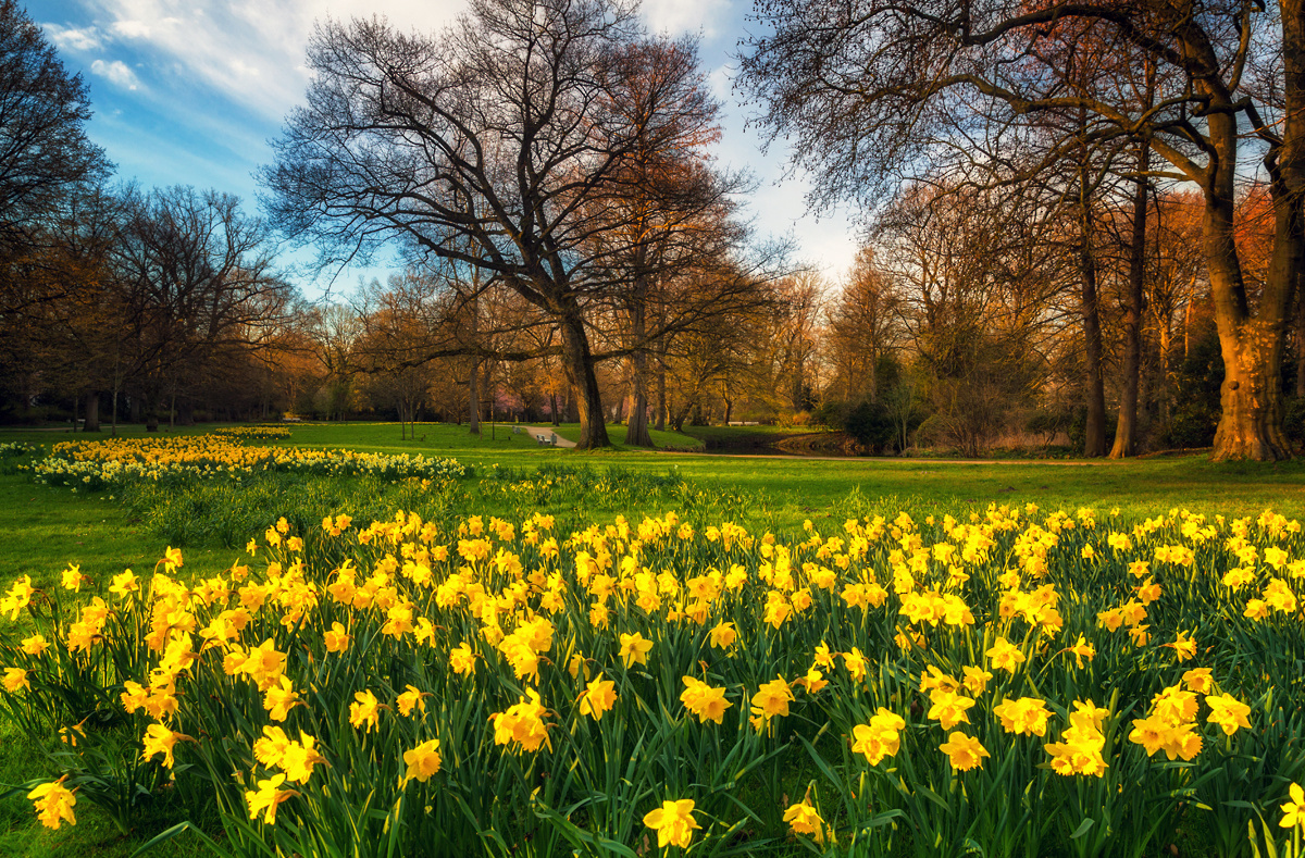 Der Stadtpark ....