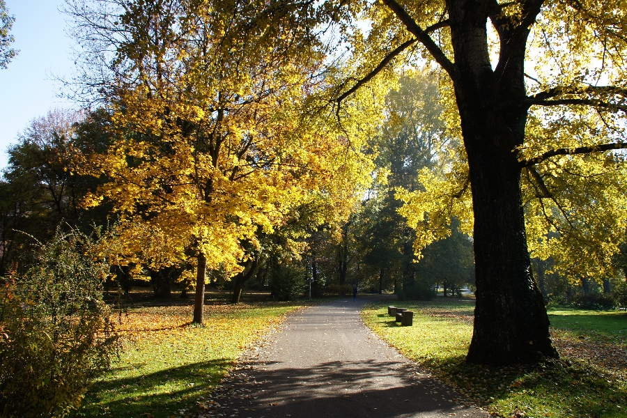 Der Stadtpark im Herbst 1