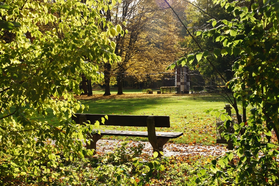 Der Stadtpark im Herbst 2