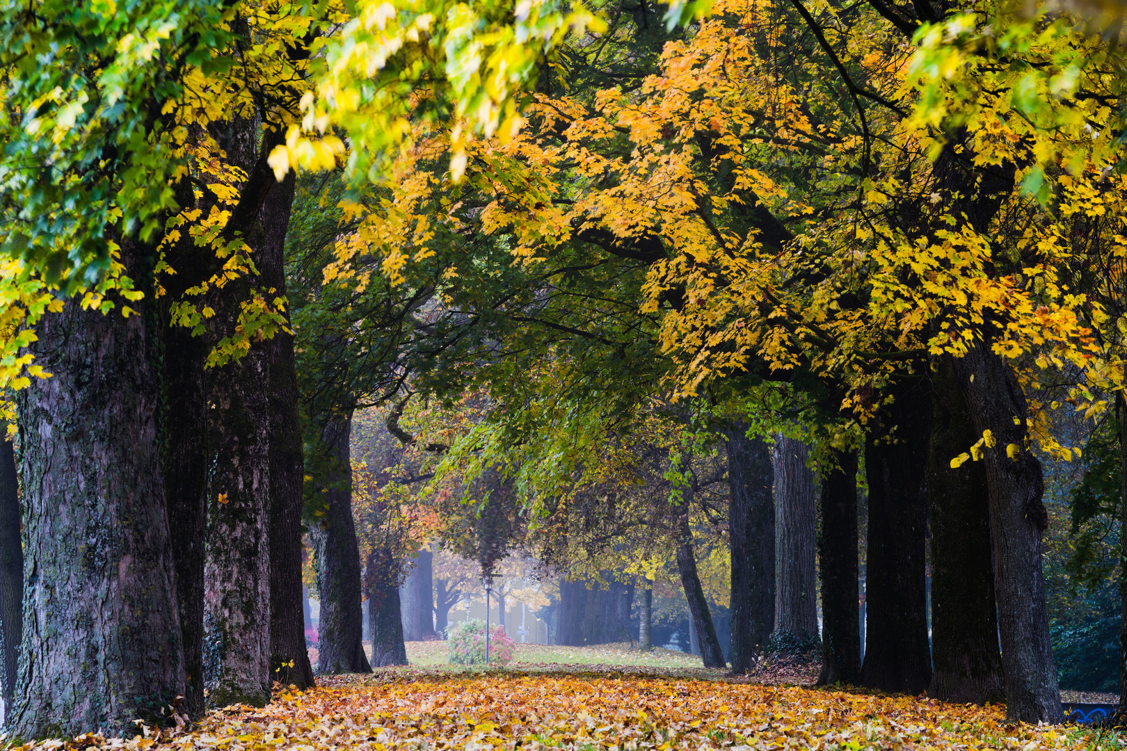 Der "Stadtpark" in Ravensburg 