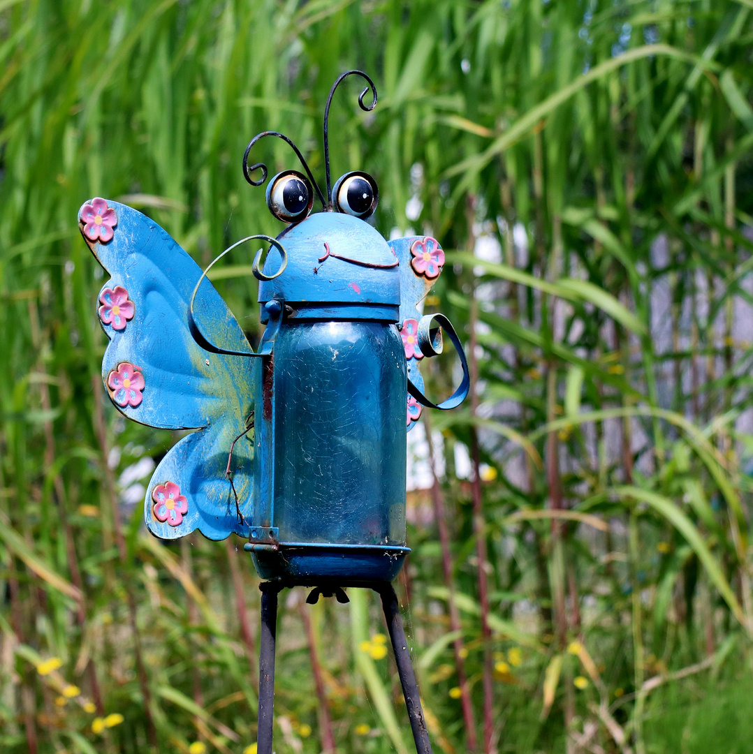 der stärkste in seinem garten