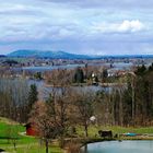 Der Staffelsee bei den blauen Reitern