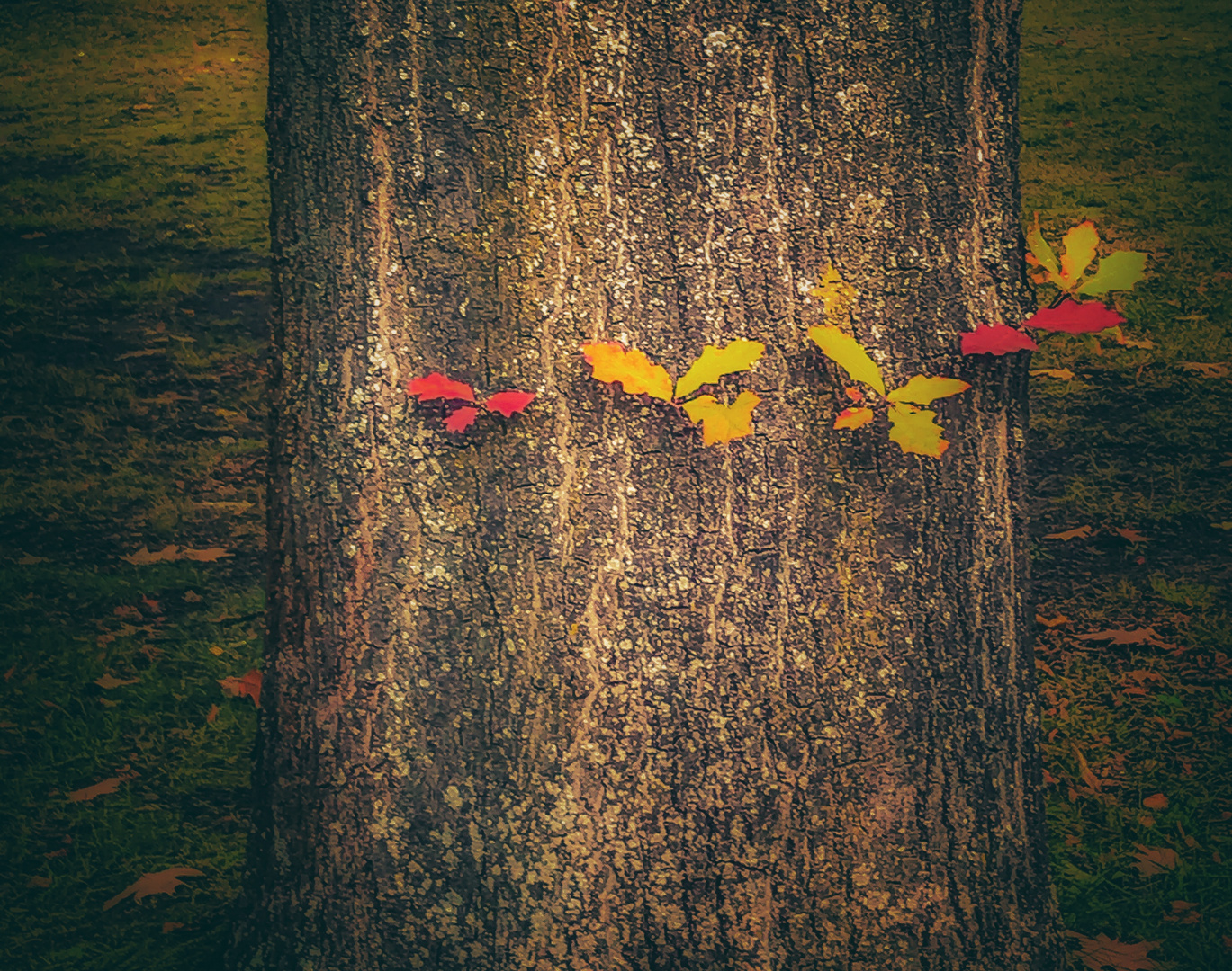 Der Stamm der Herbsteiche