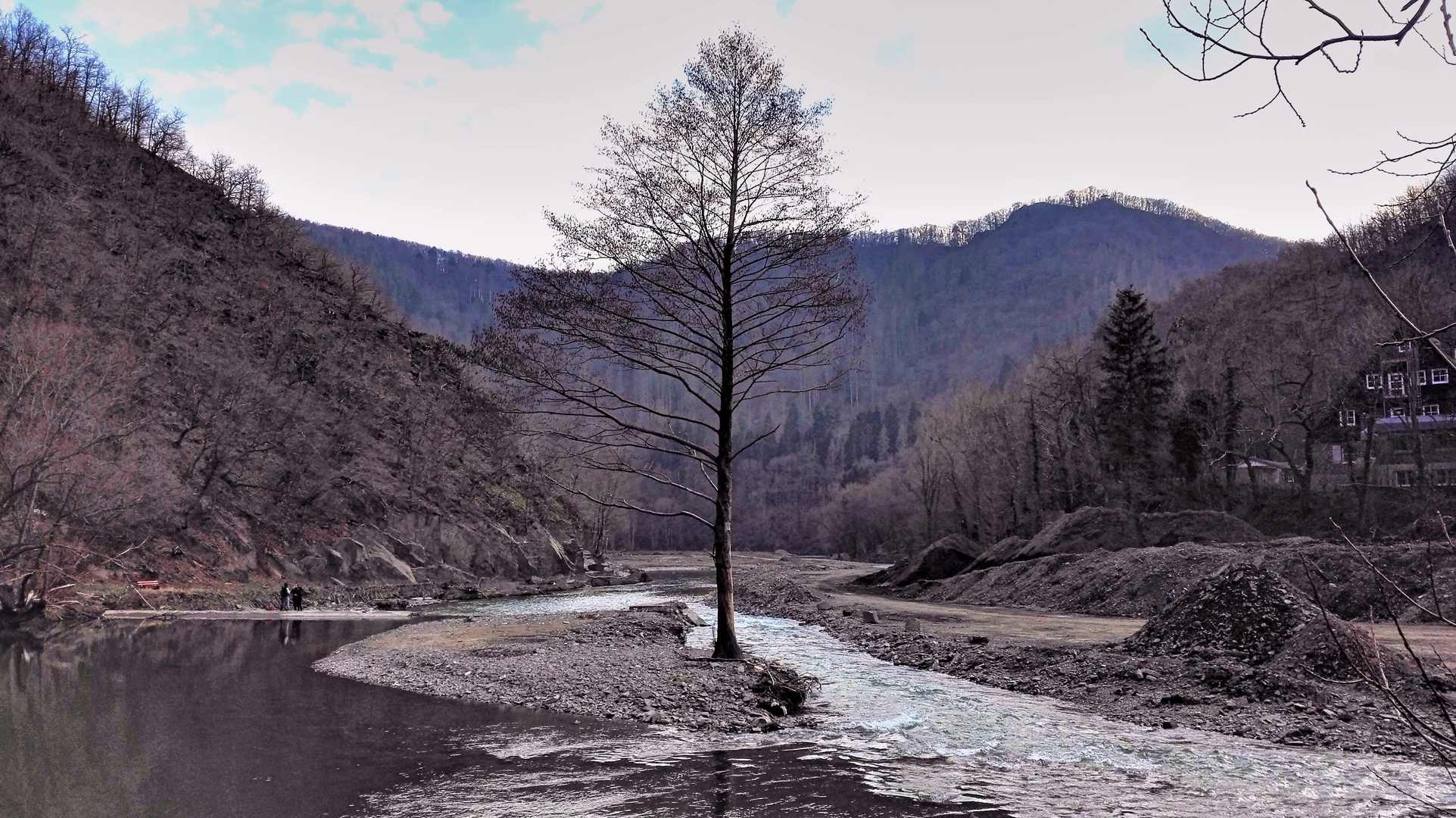 Der standhafte Baum...