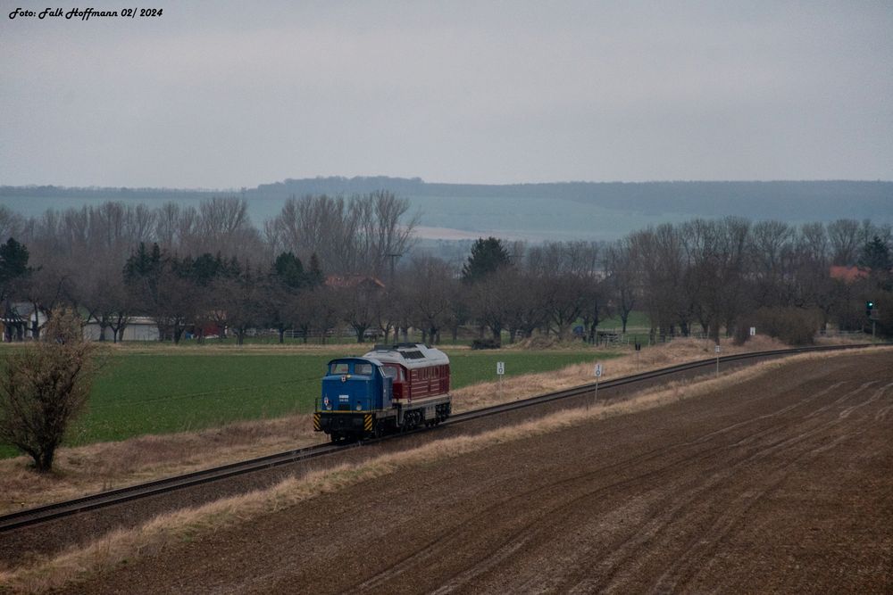 Der Stangendiesel