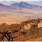 Der staubige Weg zur Serengeti