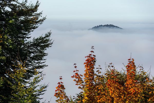 Der Staufer Berg schiebt sich aus dem Nebel