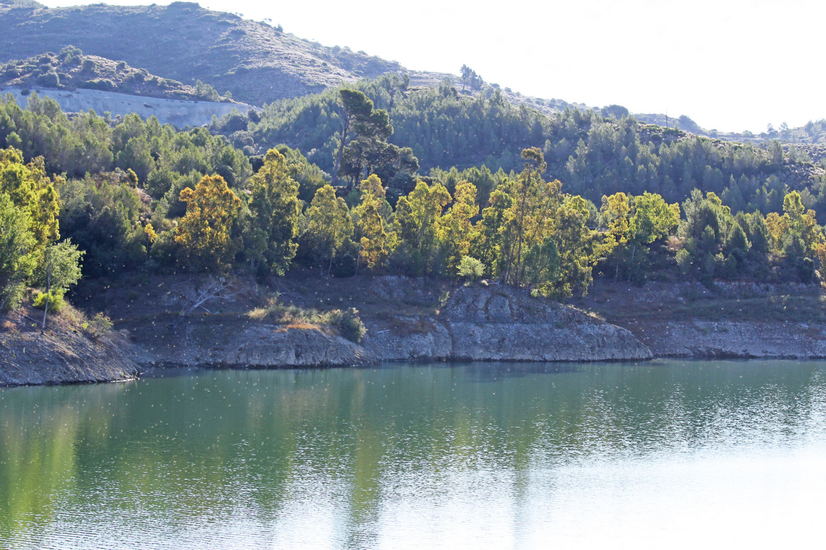 der Stausee