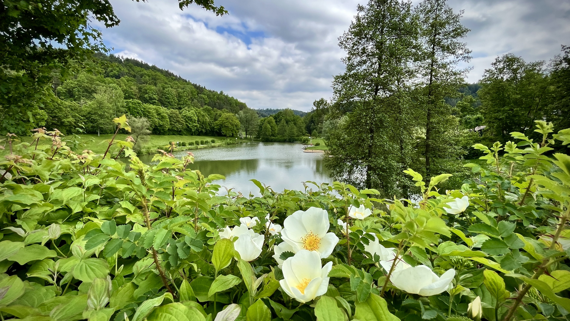 Der Stausee 