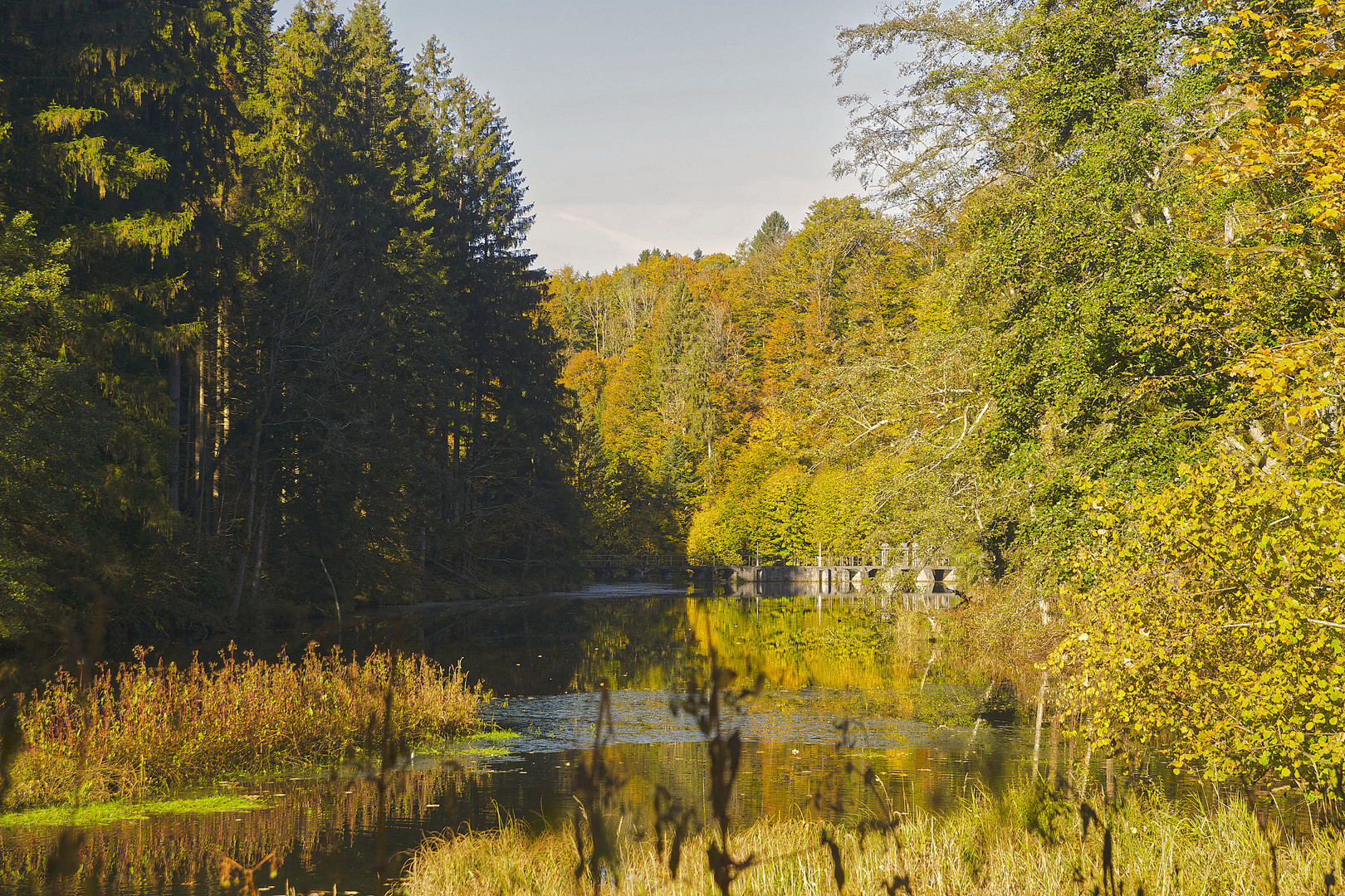 Der Stausee