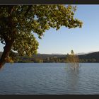 Der Stausee vom Sau # El Embalse de Sau