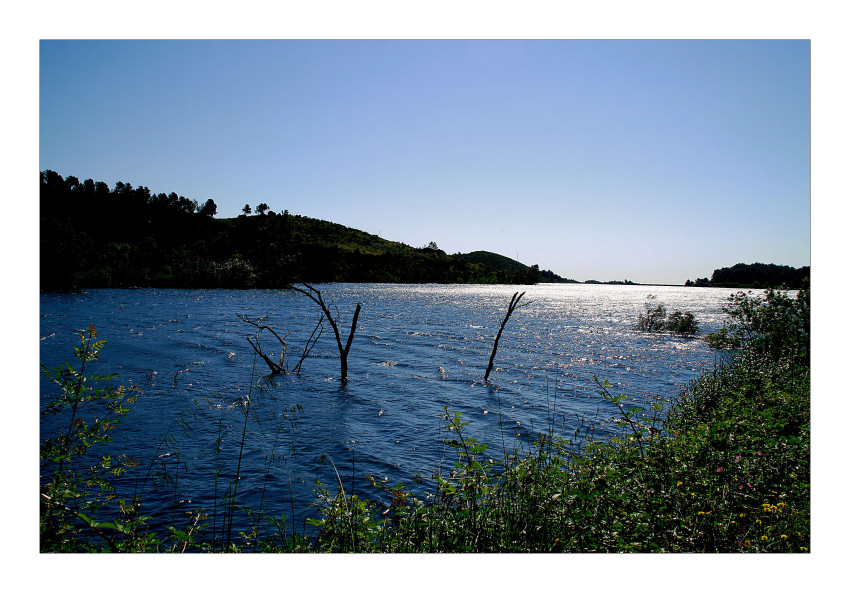 der Stausee von Riudecanyes