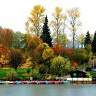 Der Stauseeherbst in Losheim ...