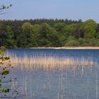 Der Stechlin - Blick aufs Hörnchen