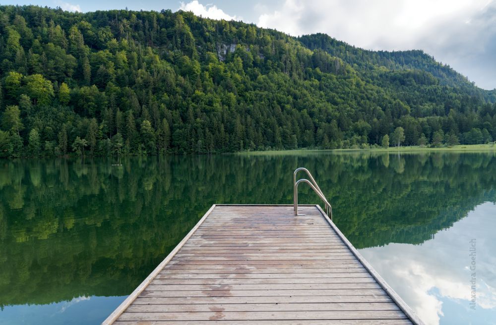 Der Steg am Schwansee