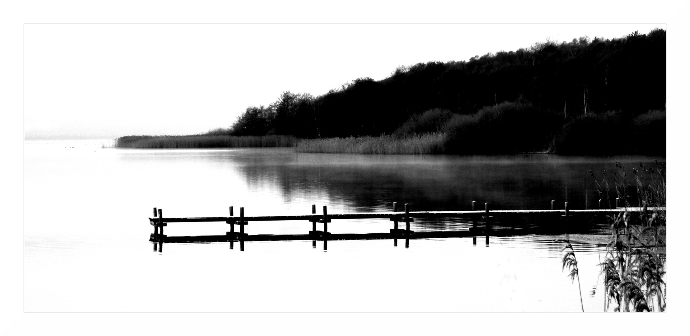 Der Steg Foto & Bild wasser, bäume, sw Bilder auf