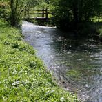 Der Steg - flussabwärts gesehen