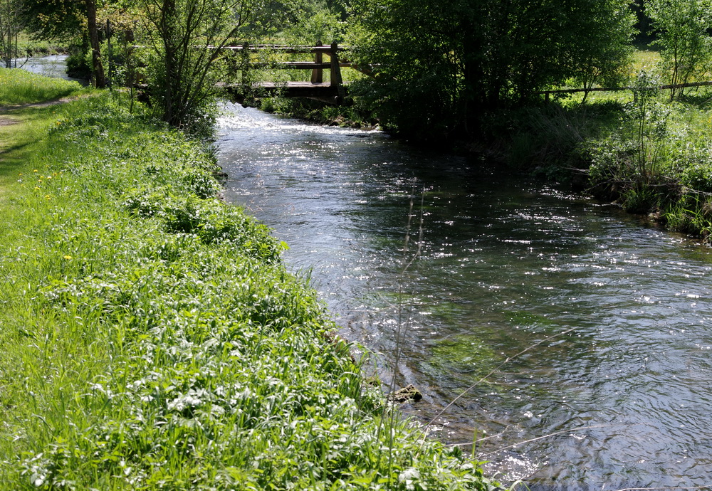 Der Steg - flussabwärts gesehen