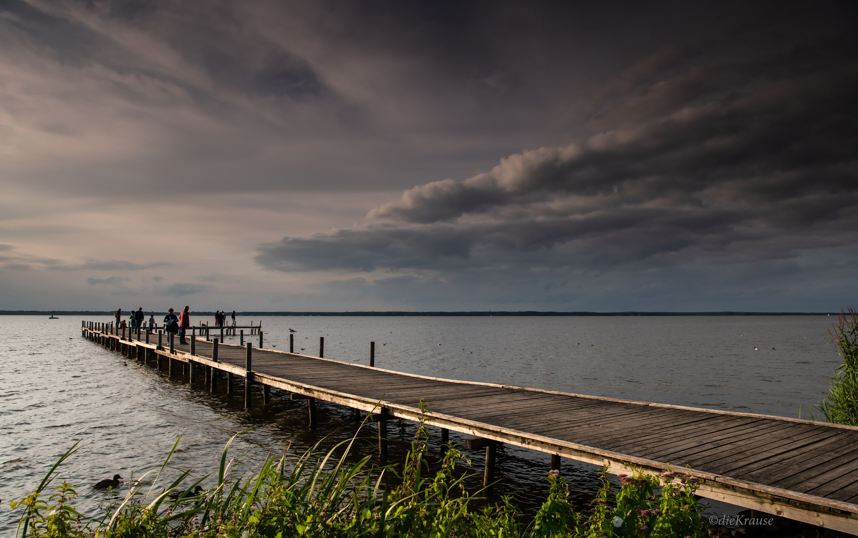 Der Steg im Licht